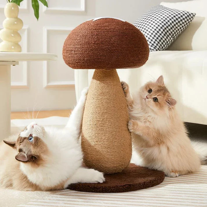 Star Mushroom Scratching Post