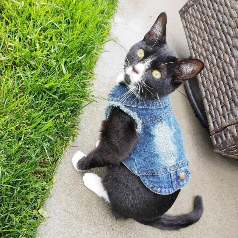 Distressed Denim Vest