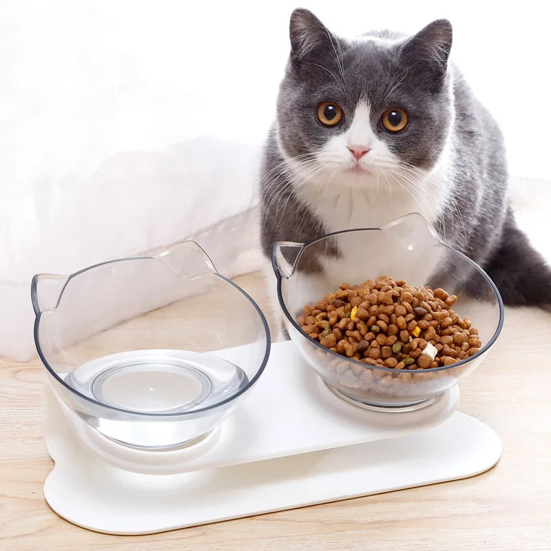 Inclined Cat Face Bowl, Clear,  White Stand