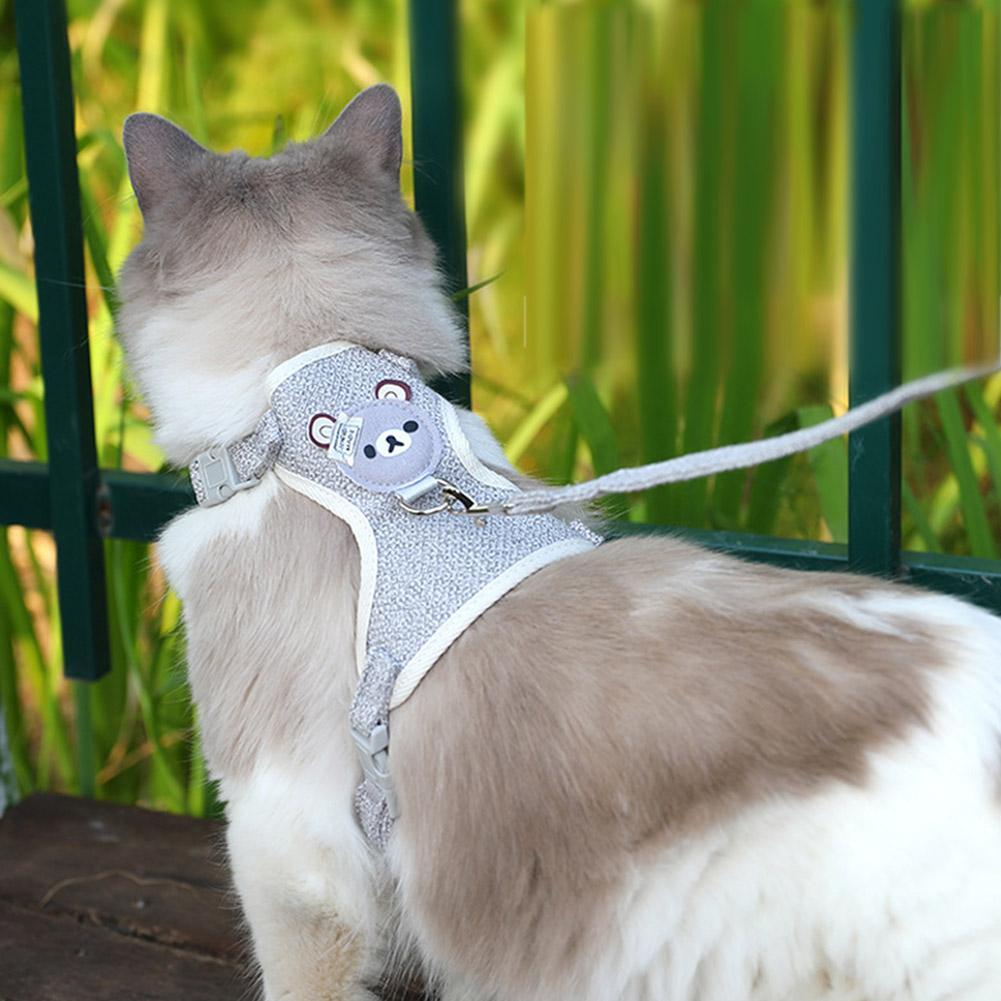 Teddy Bear Harness with Leash in Blue
