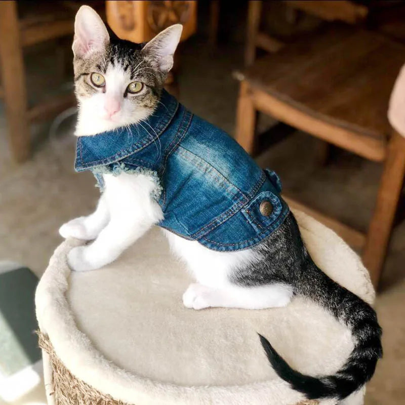 Distressed Denim Vest