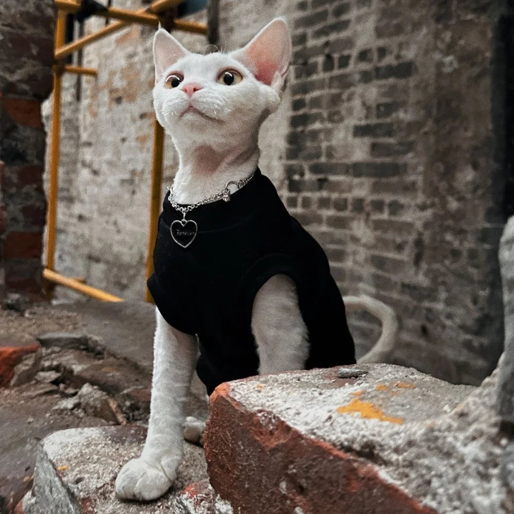Duomasumi Mock Turtleneck in Black