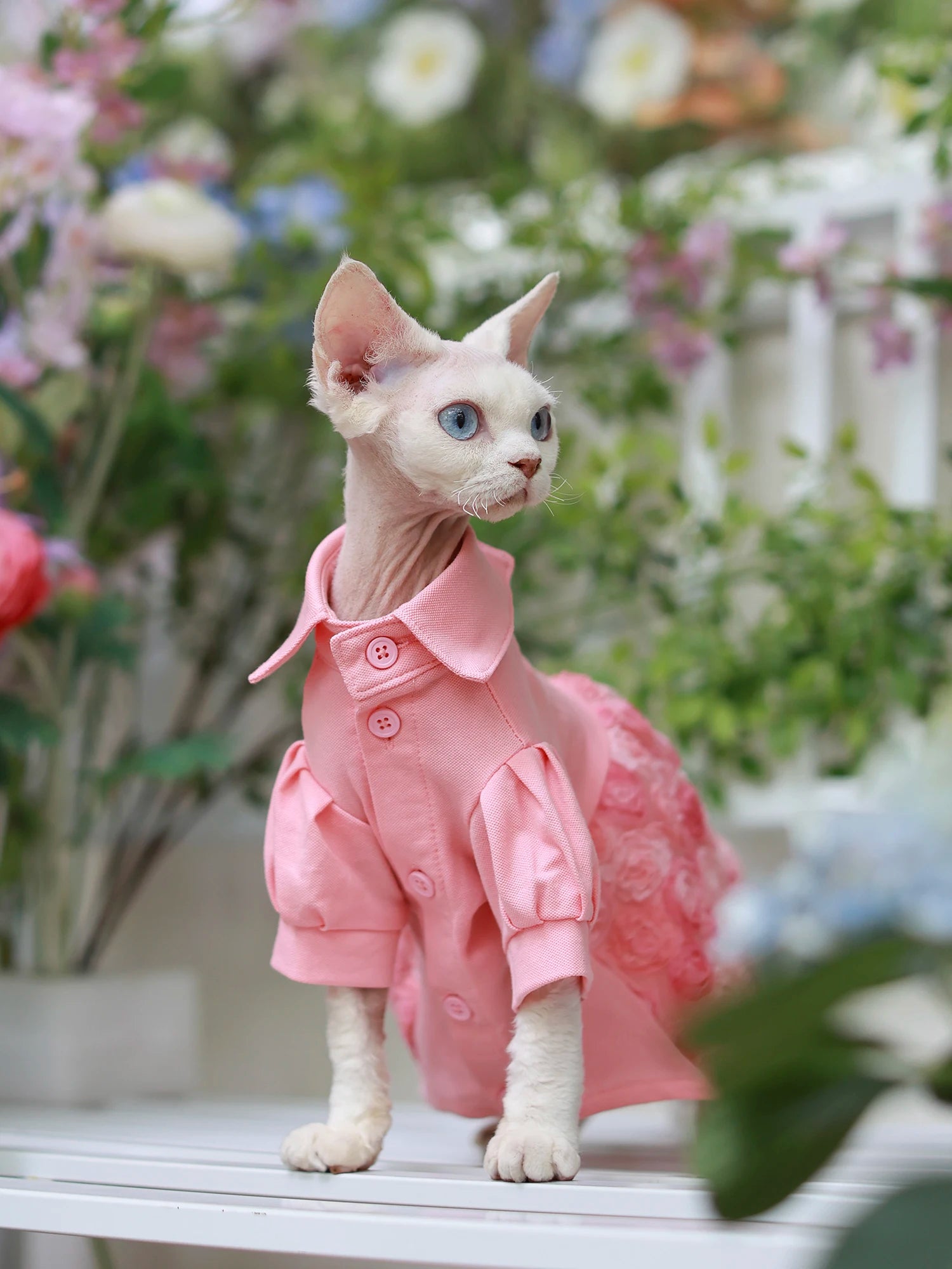 Floral Design Dress in Pink