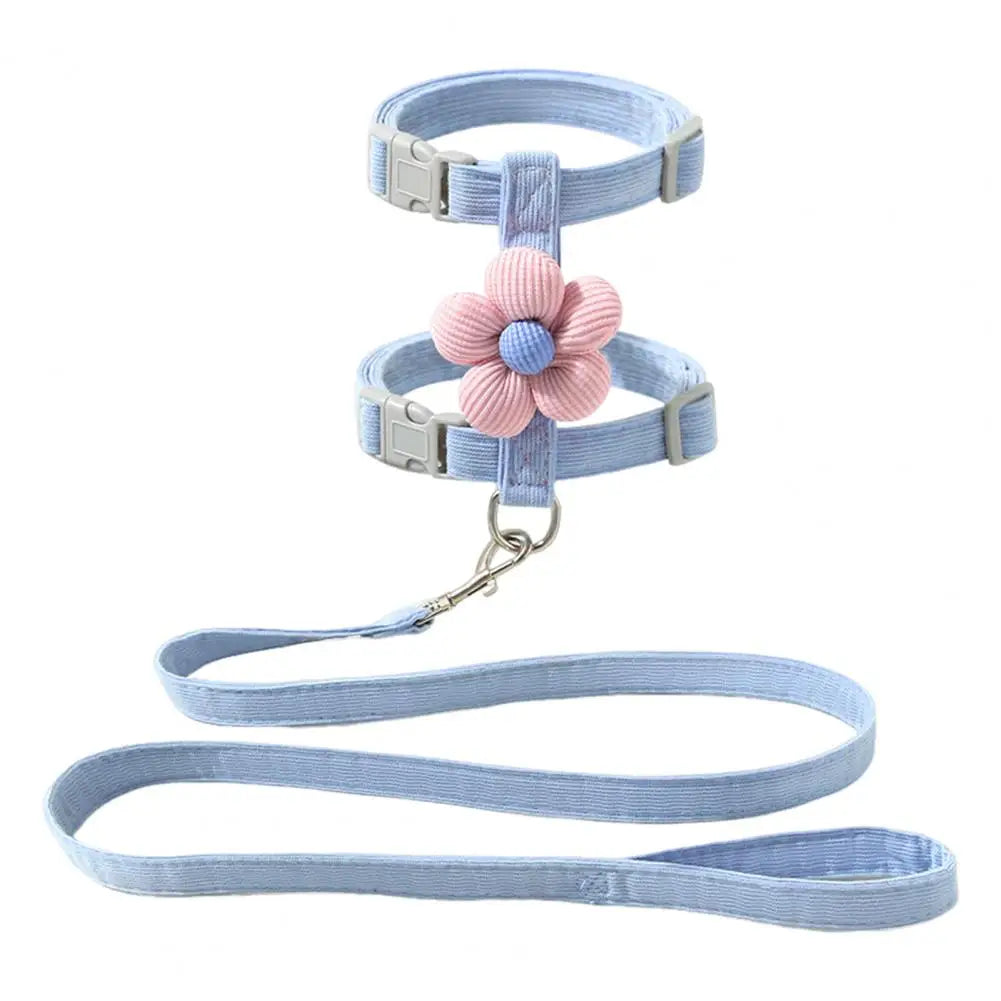 Petal Design Collar with Harness & Leash in Blue