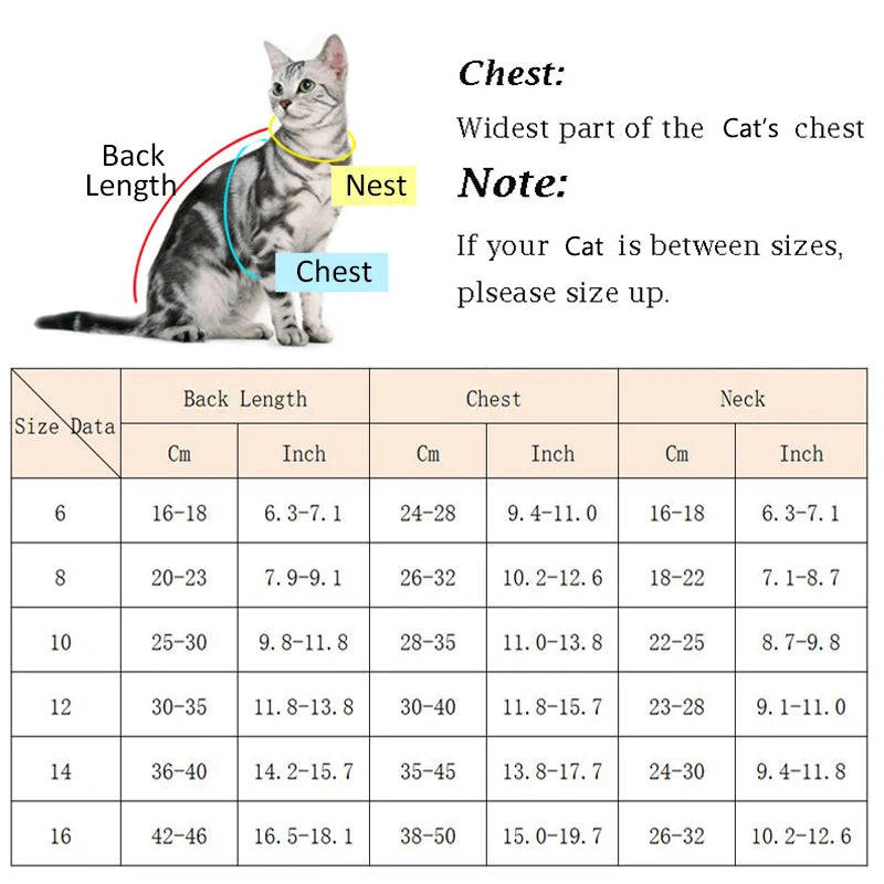 Knitted Turtleneck, Size Chart