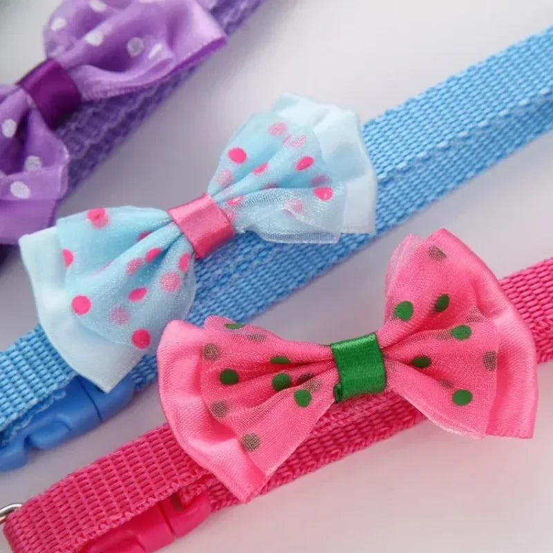 Polka Dot BowTie Collar, Purple, Blue,  Pink