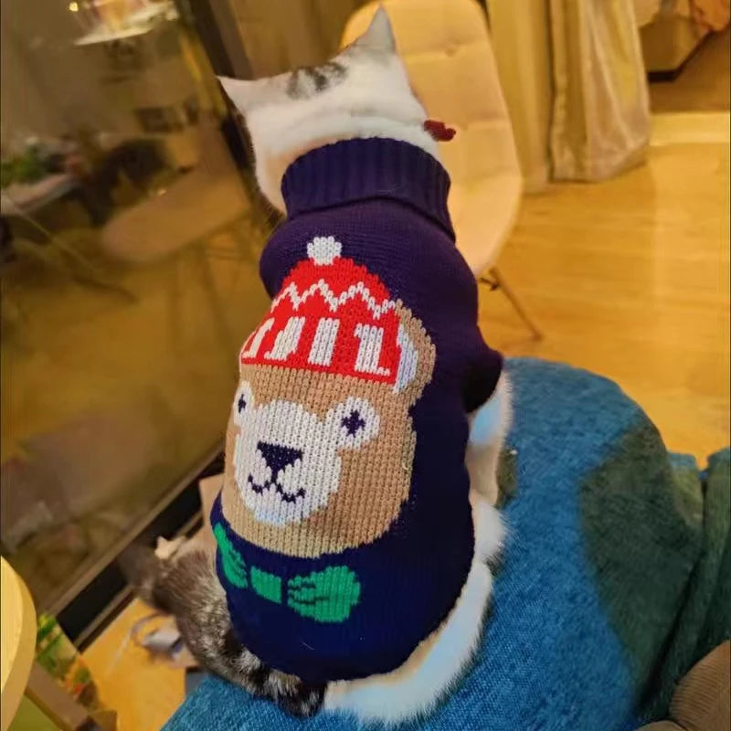 Knitted Turtleneck, Teddy Bear