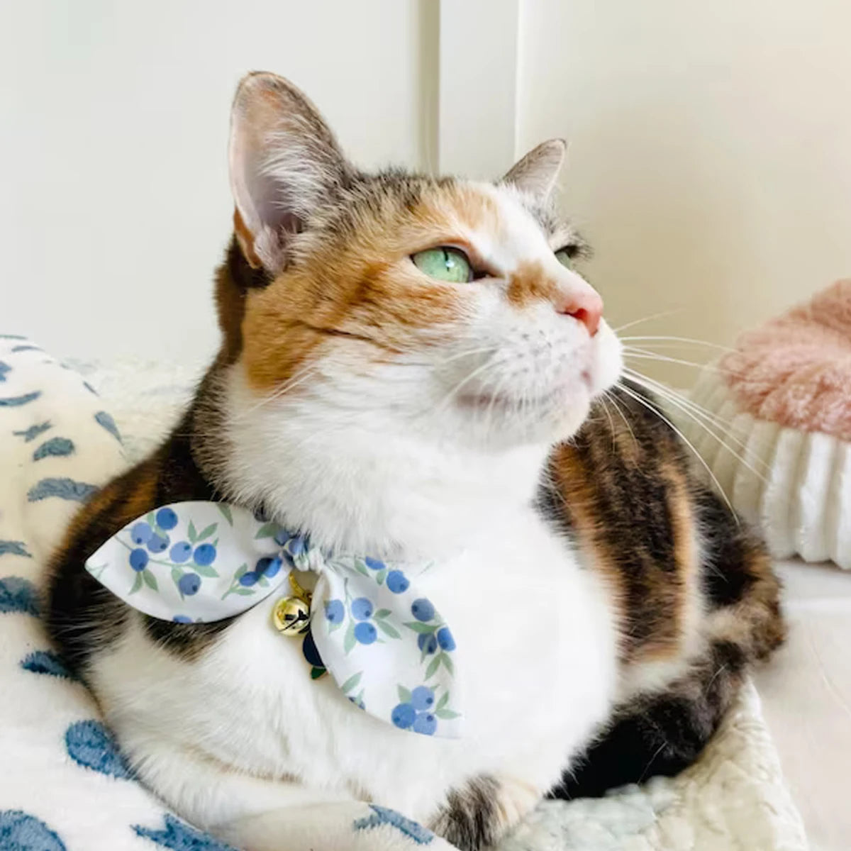 Chirimen Blueberry Collar