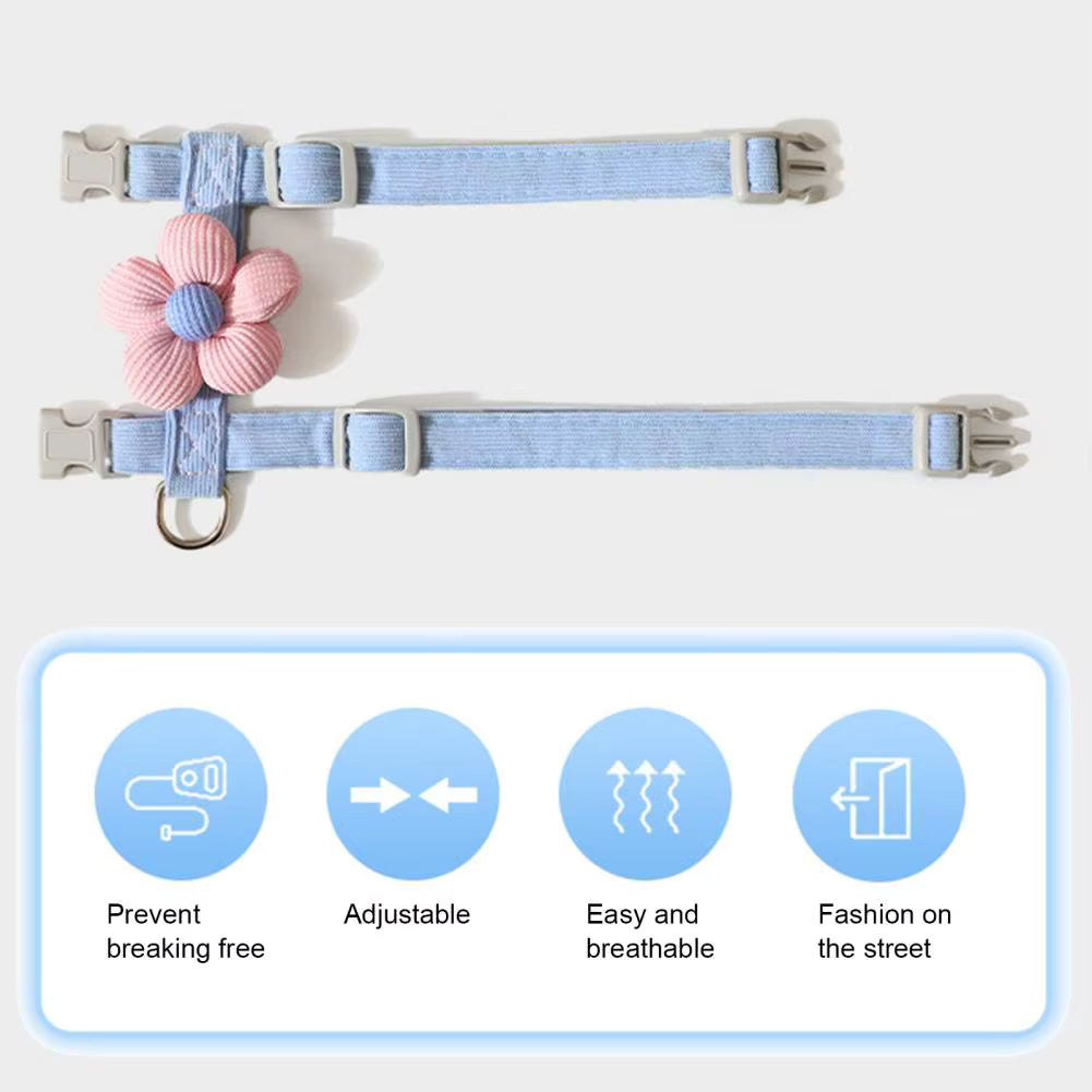 Petal Design Collar with Harness & Leash in Blue