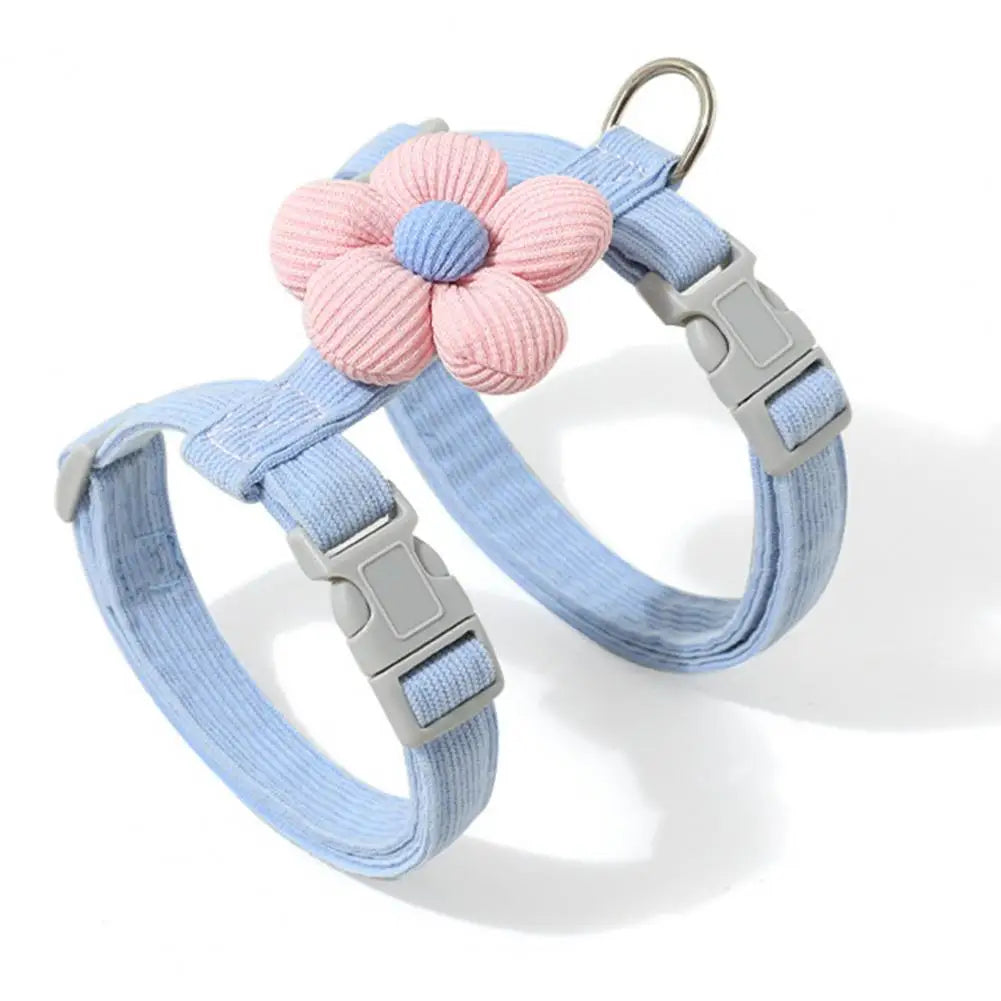 Petal Design Collar with Harness & Leash in Blue