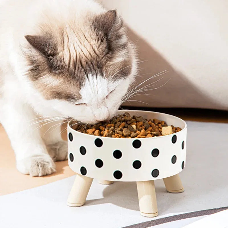 Elevated Polka Dot