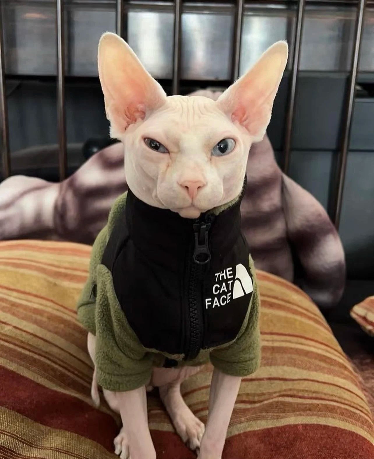 CatFace Reflective Fleece, Green