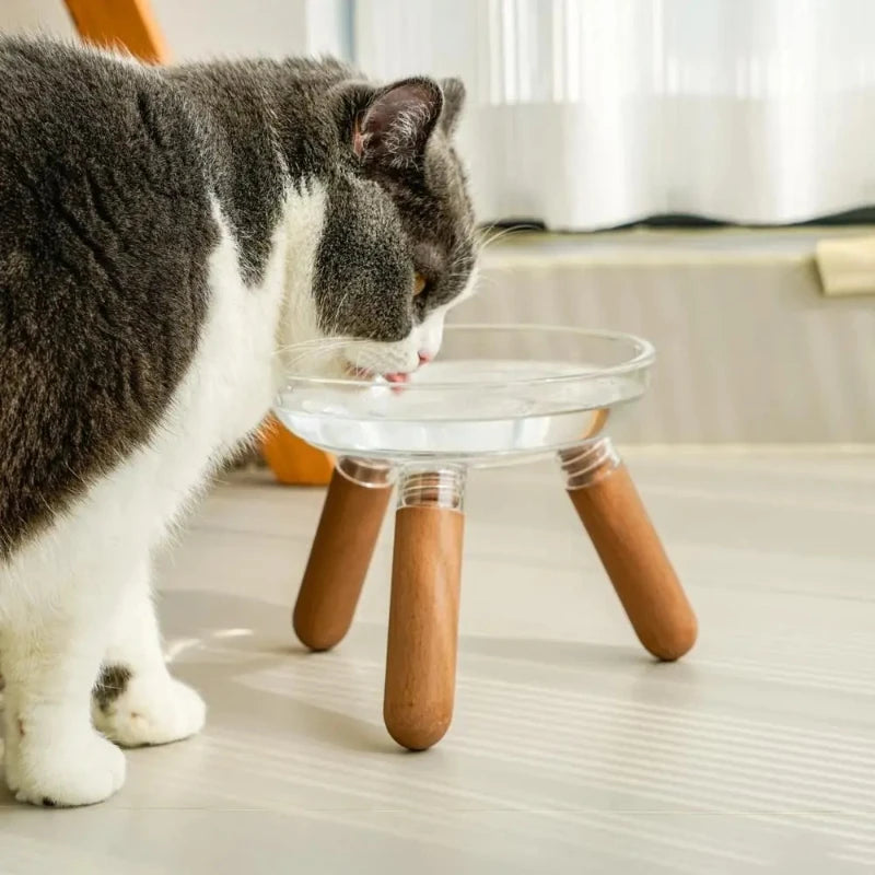 TATAAI Elevated Bowl with Stand