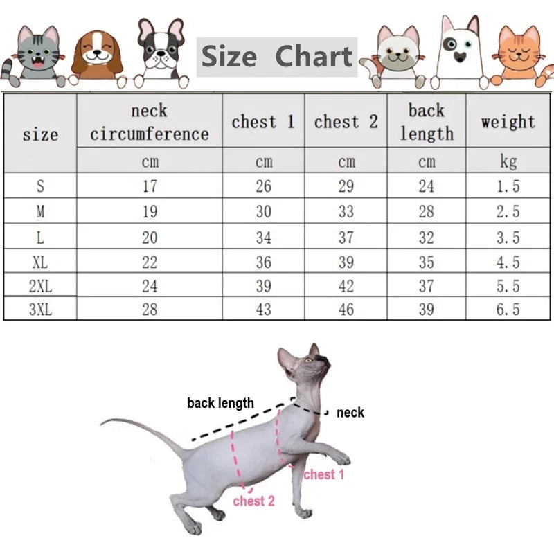 Floral Design Dress in Pink, Size Chart