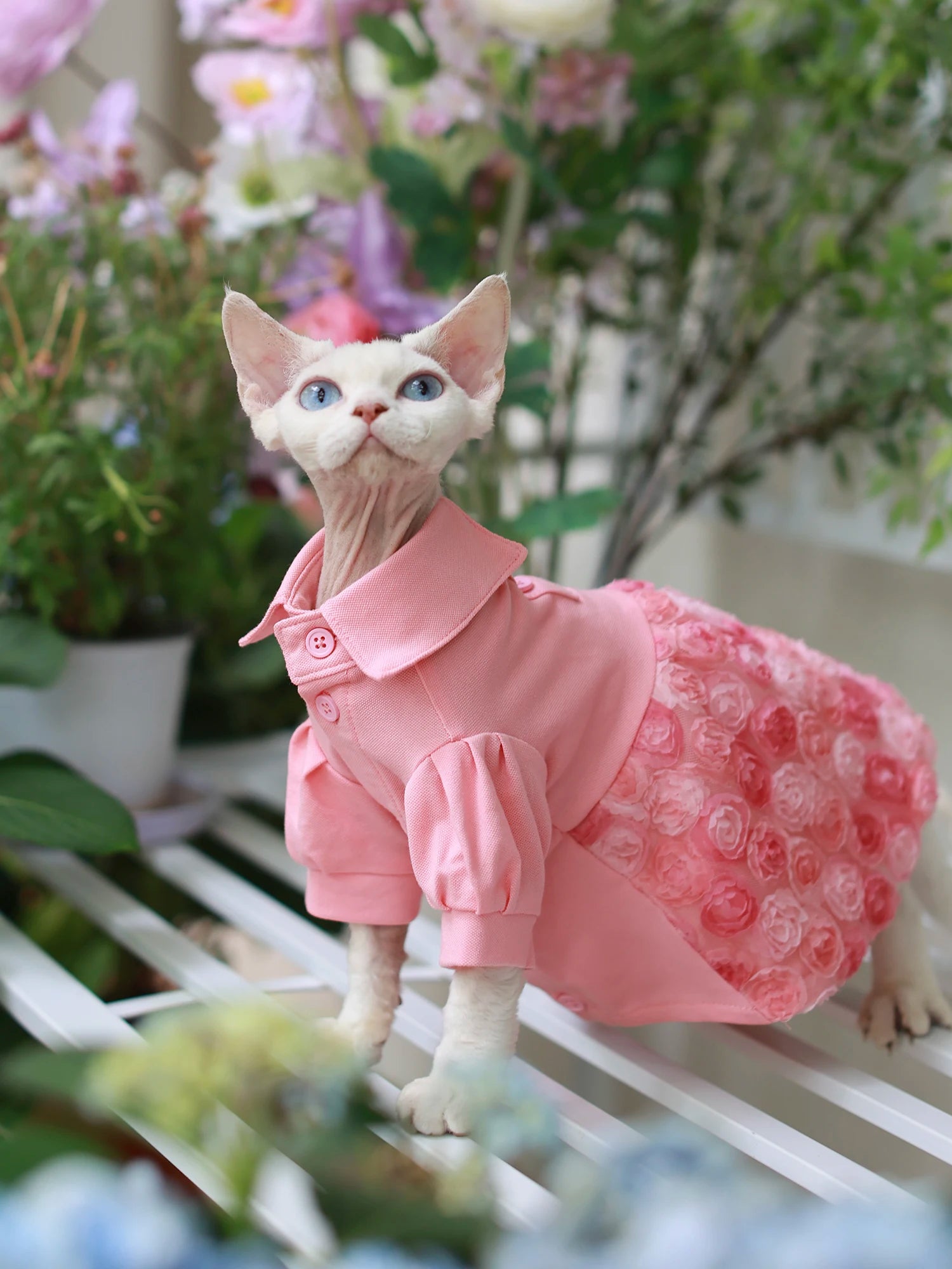 Floral Design Dress in Pink