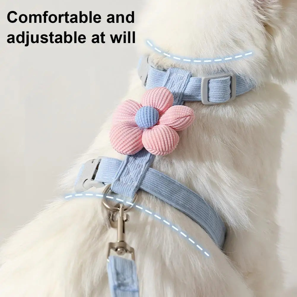 Petal Design Collar with Harness & Leash in Blue