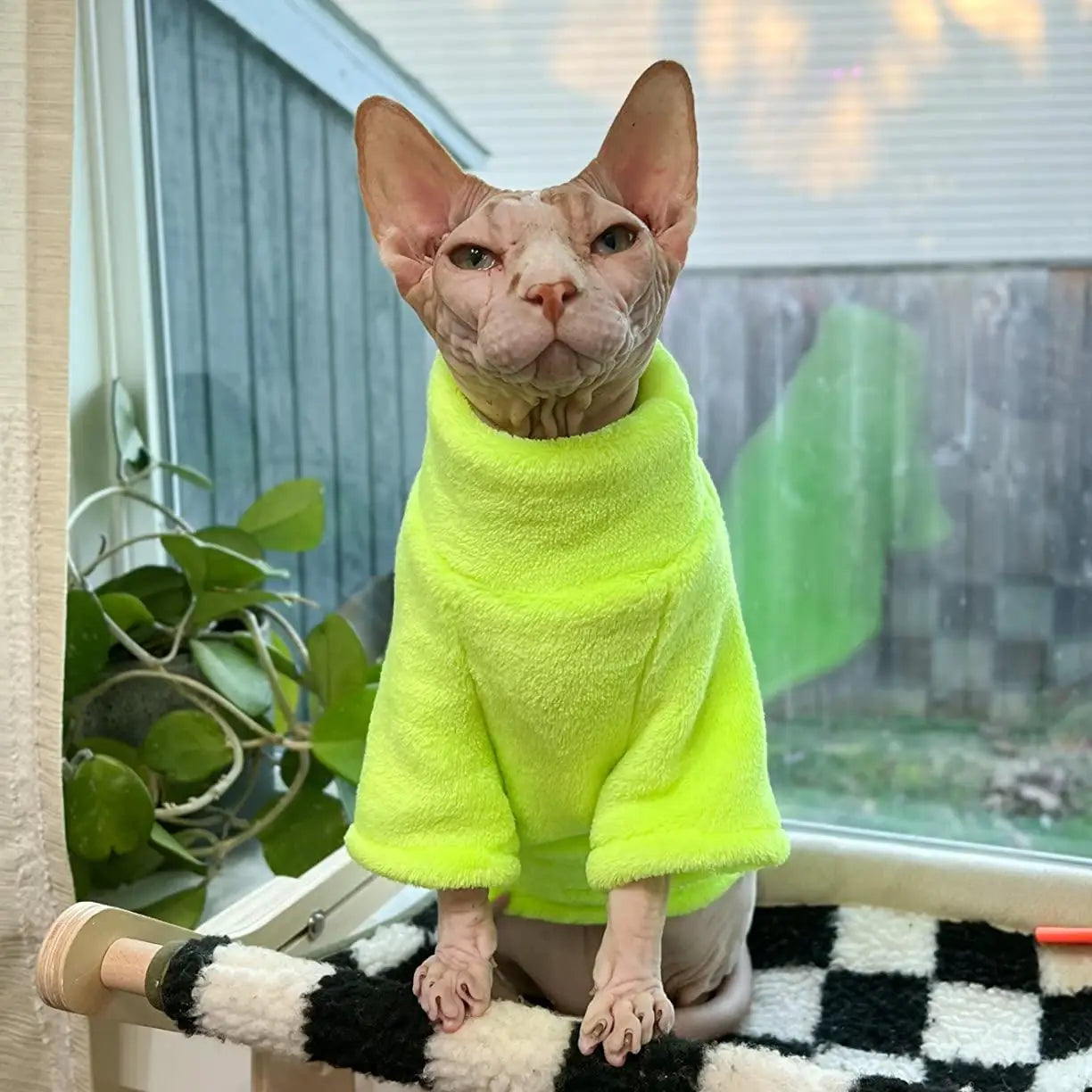 MANHAN Sweater, Green