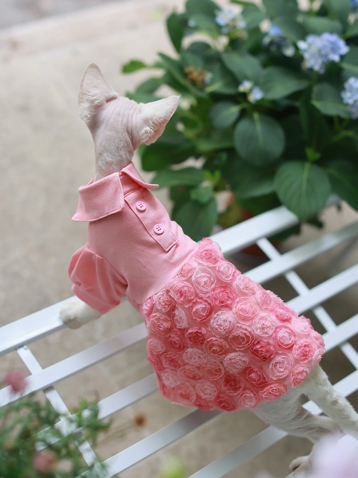 Floral Design Dress in Pink