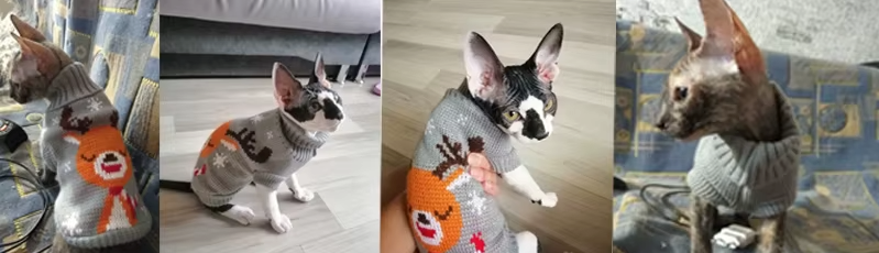 HOOPREETY Turtleneck Sweater