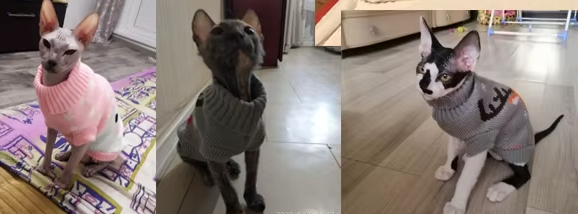 HOOPREETY Turtleneck Sweater