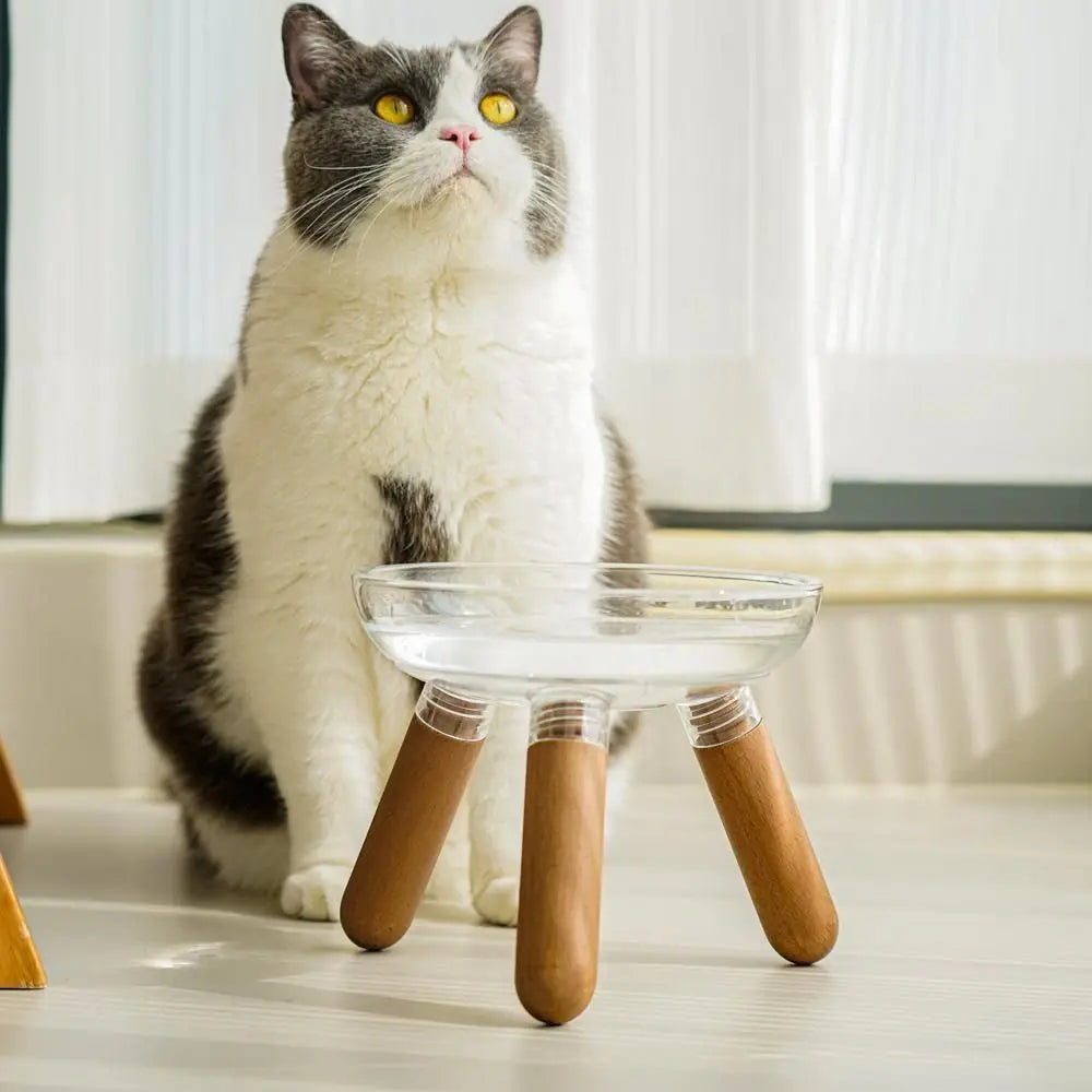 TATAAI Elevated Bowl with Stand