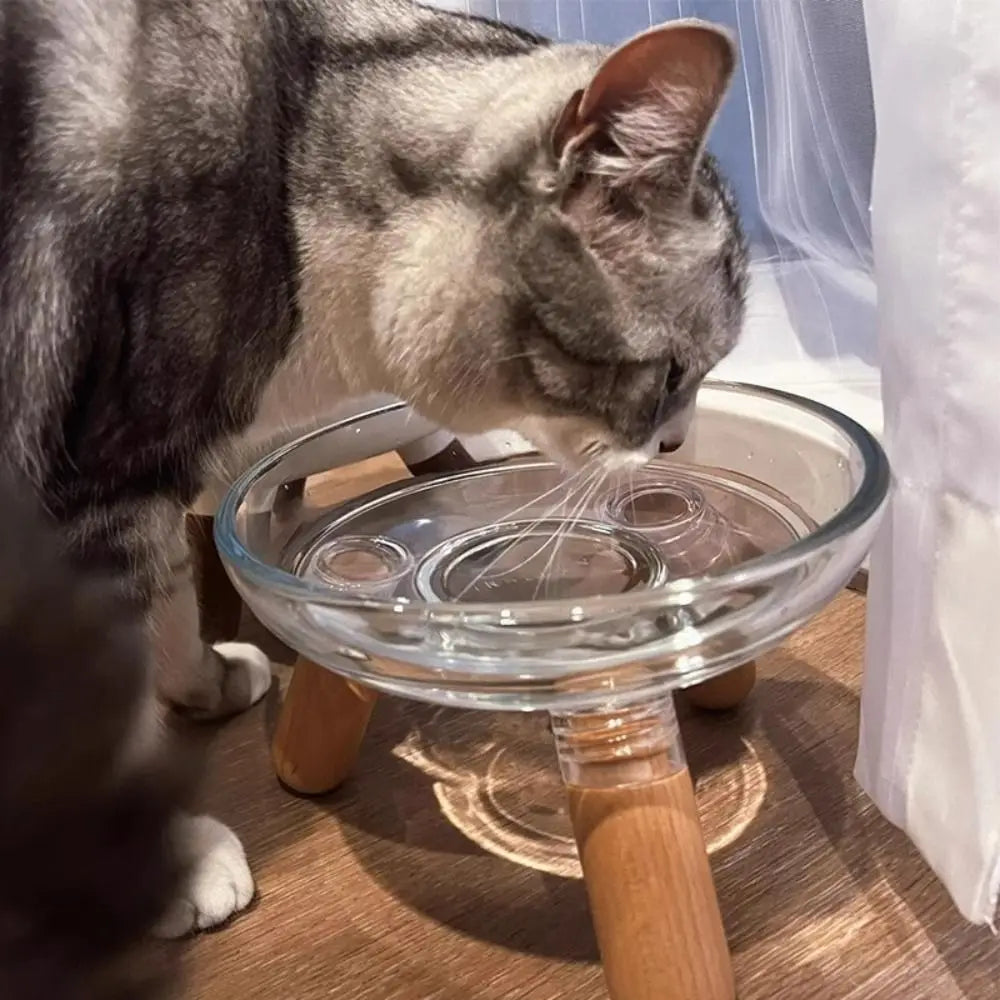 TATAAI Elevated Bowl with Stand