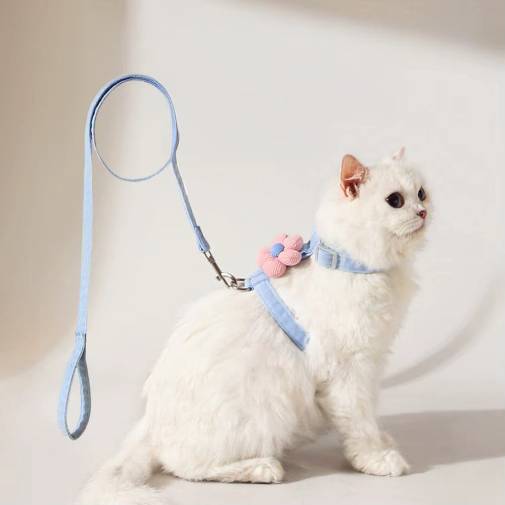 Petal Design Collar with Harness & Leash in Blue