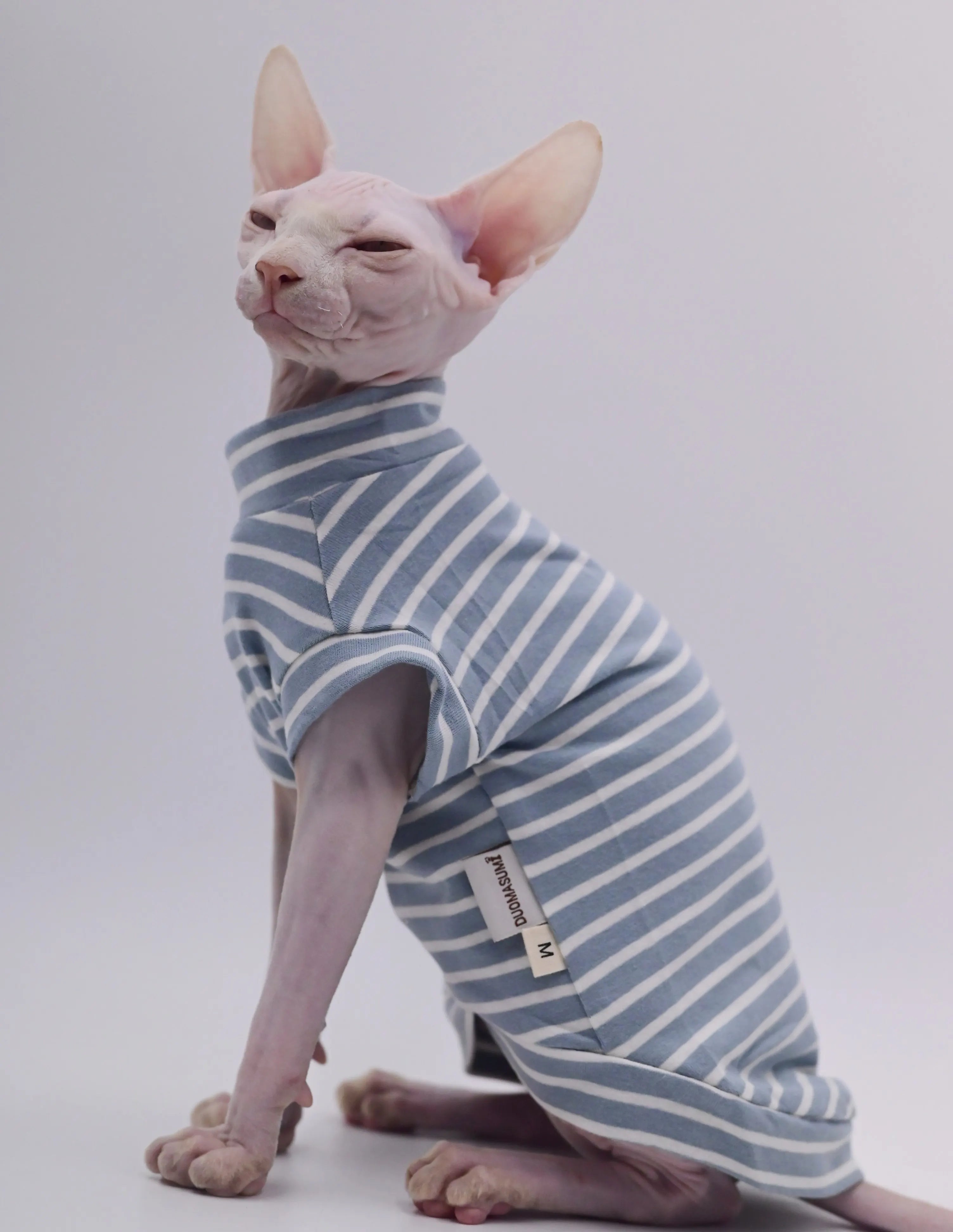 Duomasumi Mock Turtleneck in Blue