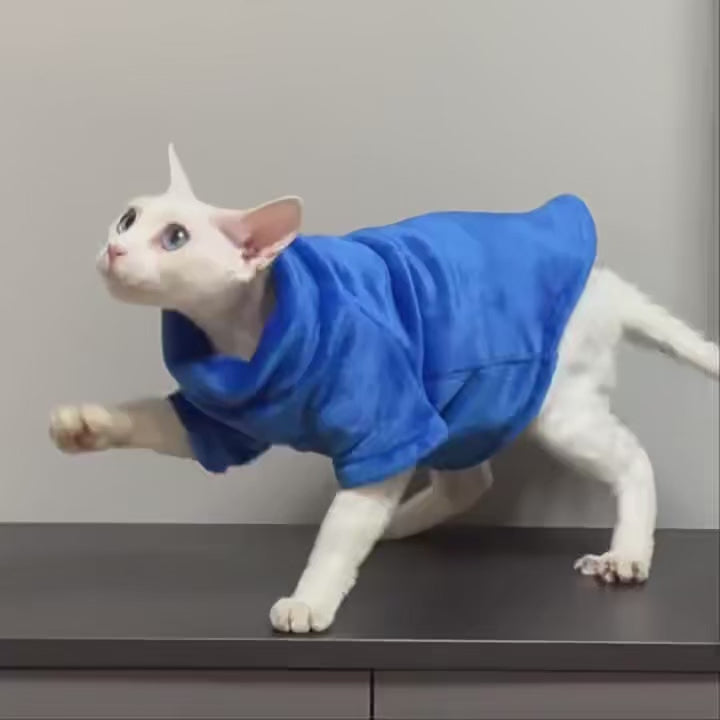 Plush Sweater, Video